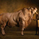 Illustration for article titled Genetic Manipulation: The First 50,000 Years